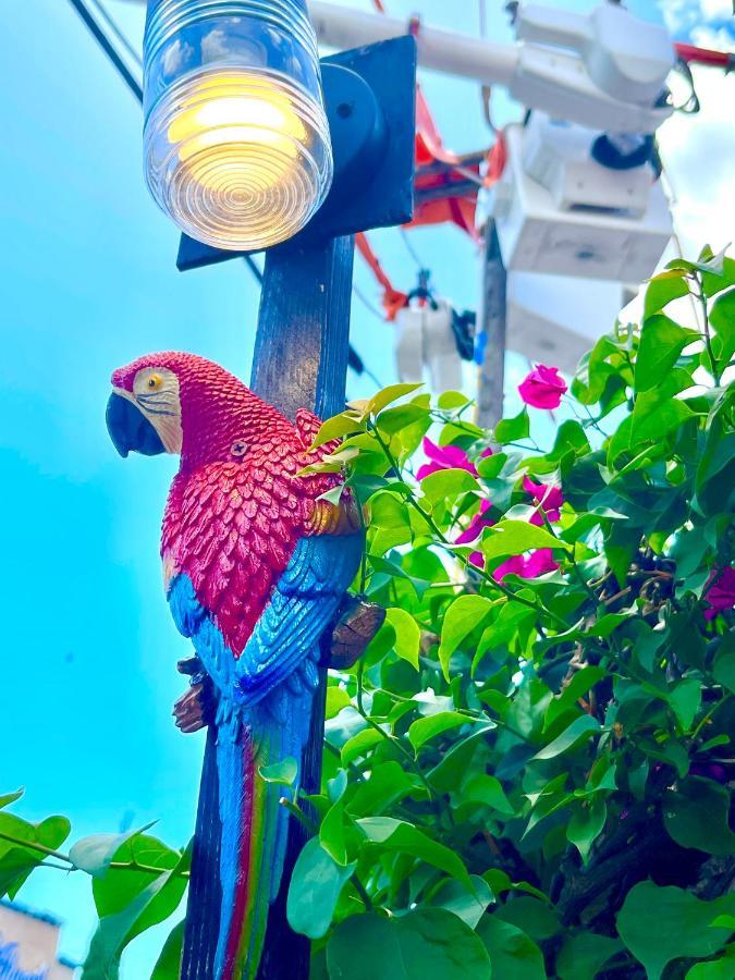 Habitacion Centrica Calle 8 マイアミ エクステリア 写真